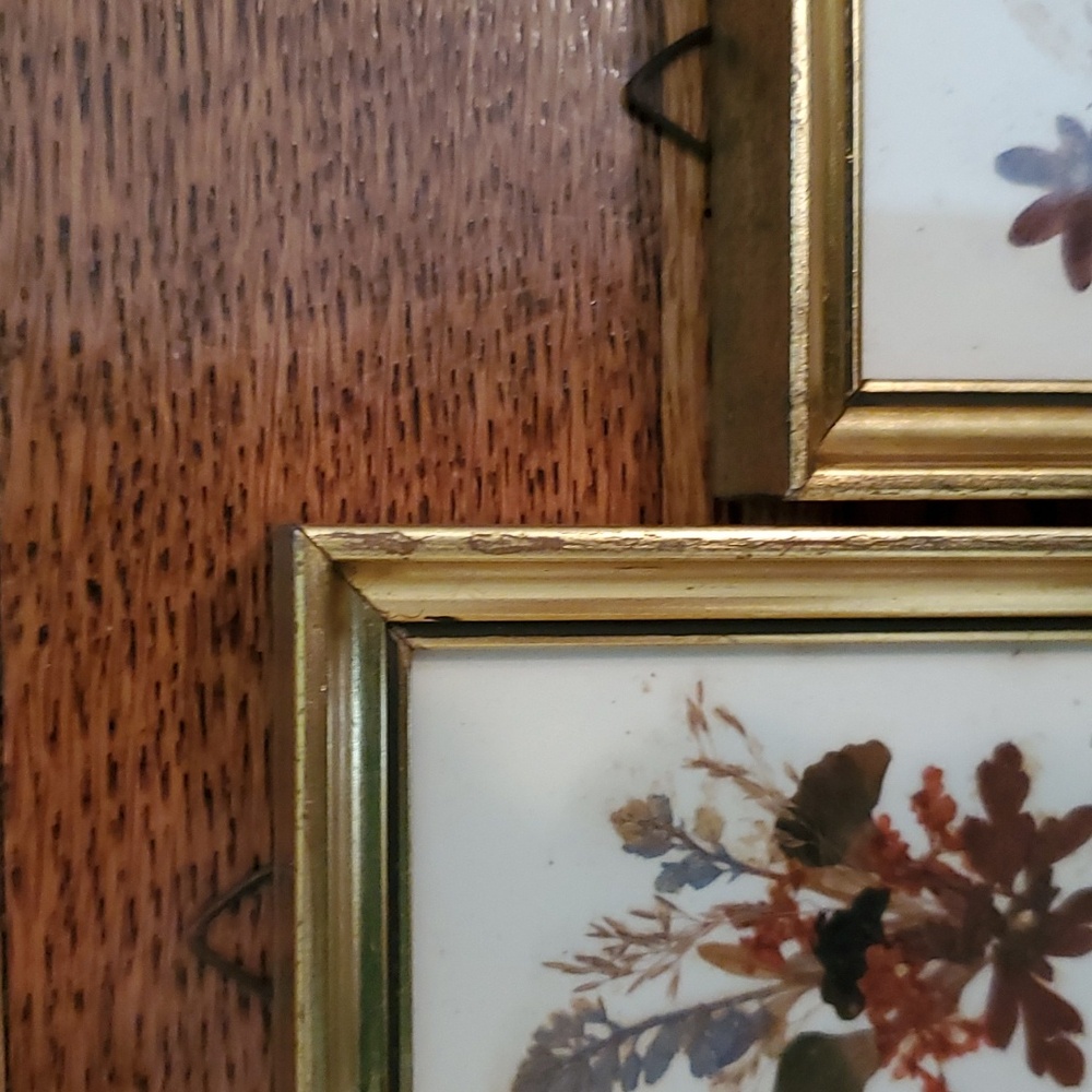 Vintage Floralp Tyrol Austria Pressed Flowers Miniature Framed Pictures Set of 2 - Picture 5 of 10